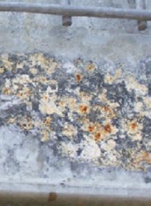 Galvanized Corrosion 21