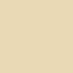 beige107